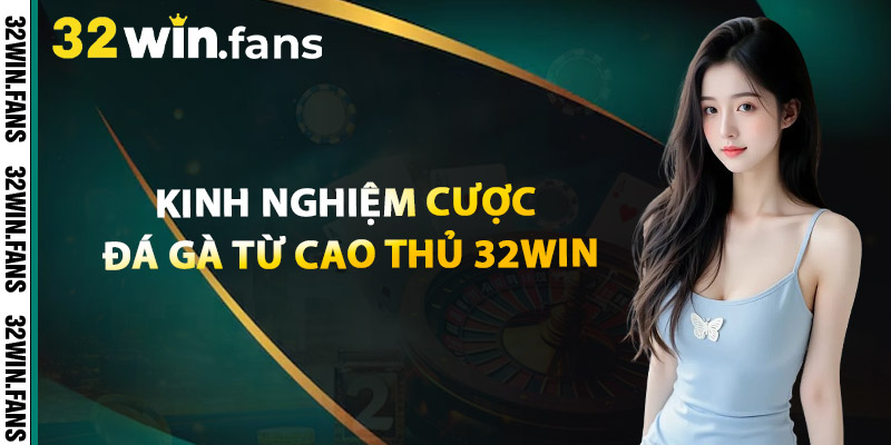 Đá Gà 32WIN – Trực Tiếp Thomo Cược Nhanh Ăn Lớn 3 Kinh Nghiệm Cược Đá Gà Từ Cao Thủ 32WIN